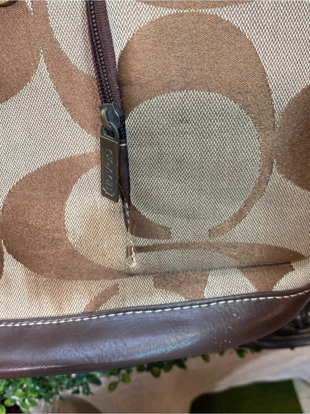C Brown and Tan Signature Canvas Backpack